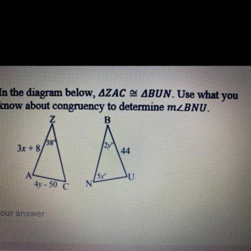In the diagram below, AZAC & ABUN. Use what you

know about congruency to determine mZBNU.
Z
B