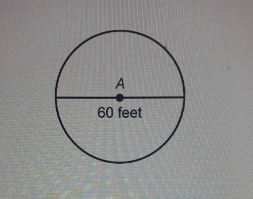 What is the exact circumference of the circle​