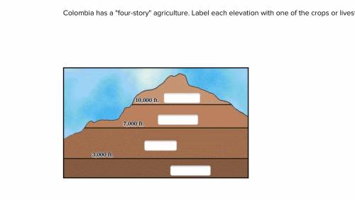 Colombia has a four-story agriculture. Label each elevation with one of the crops or livestock th