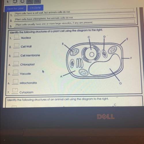 Identify the following structures of a plant cell using the diagram to the right.

1.
D
Nucleus
с