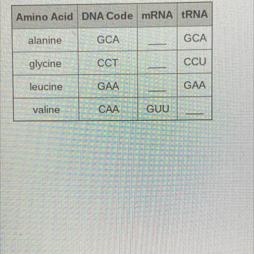 Using the table, what is the correct mRNA sequence representing the addition of alanine and then