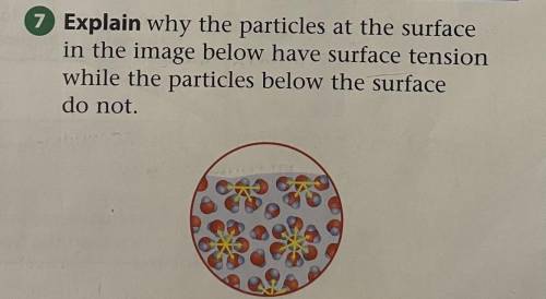 I need to know why the particles at the surface in the image below have surface tension while the p