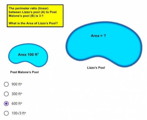 Find the area of the pool
