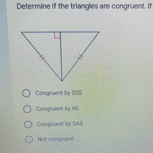 Determine if the triangles are congruent. If they are, state why.

*
X
Congruent by SSS
Congruent