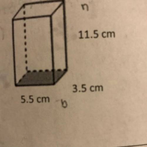 Find the Lateral and Total Surface Area of the rectangular prism