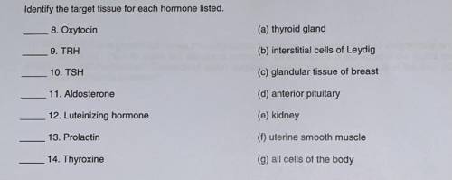 Identify the target tissue for each hormone listed.