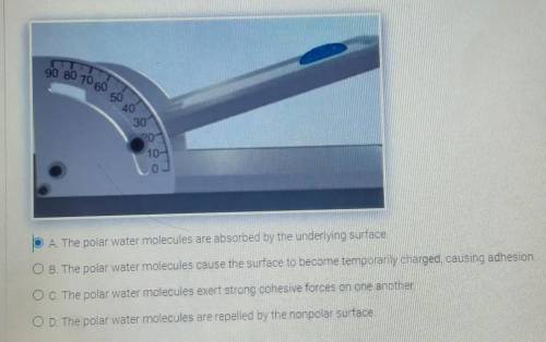 Which of the following provides the best explanation for why the water drop does not slide off the