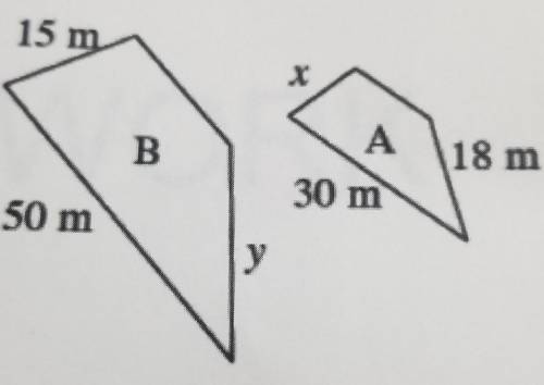 15 m X B A 18 m 30 m 50 m у,What's the scale factor?​