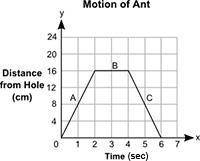 The distance, y, in centimeters, of an ant from a hole in the tree for a certain