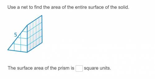 Super Easy Question/Will mark as brainliest:

Use a net to find the area of the entire surface of