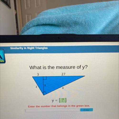 What is the measure of y?
3
27
Y у
N
y = [?]