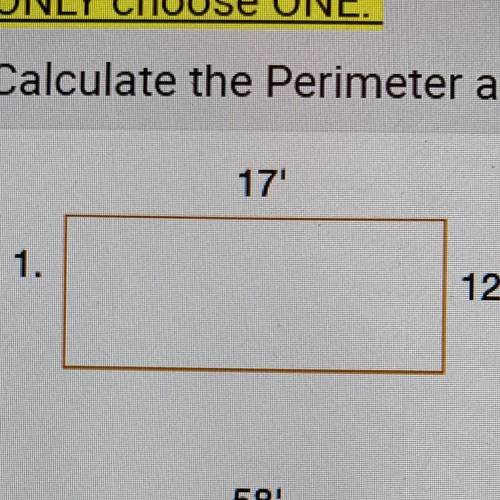 I need the perimeter and area of this problem.