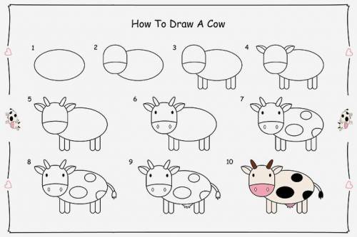 How do you draw a cow