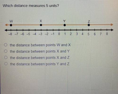 Which distance measures 5 units?

(Picture down below)
A. the distance between points W and X
B. t