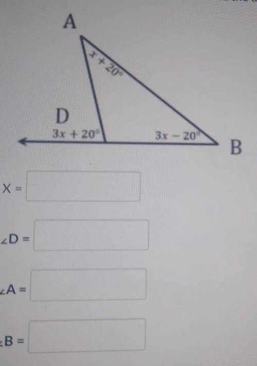 Solve for X, angle D, angle A, angle B​