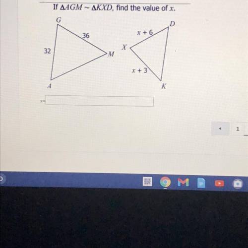 Whats the value of x