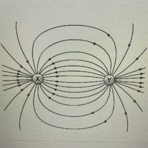 What charges must the particles have to create the electric field shown?

O A. X is positive and Y