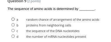 The sequence of amino acids is determined by ________.