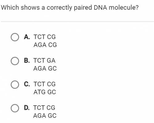 Which shows a correct pair of DNA molecule