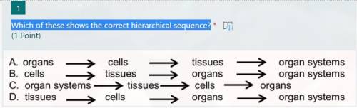 Which of these shows the correct hierarchical sequence?