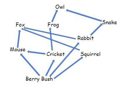 5.

In the food web below, what is one example of an omnivore? fox
cricket
squirrel
mouse