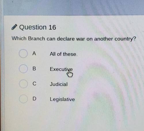 Which branch can declare war on a other country?​