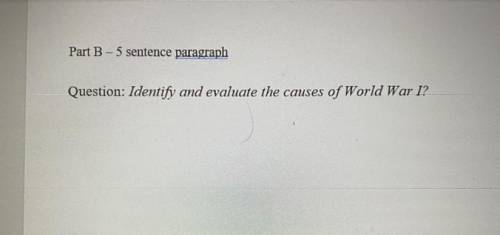In a Paragraph of 5 sentences “Identify and evaluate the causes of World War I?”

WILL MARK BRAINL