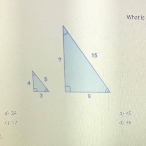 What is the perimeter of the larger triangles
