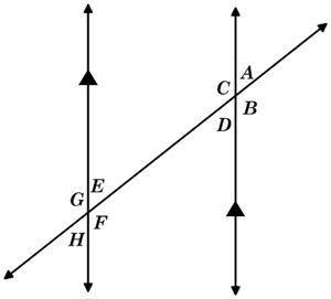 The figure shows two parallel lines cut by a transversal. Which angle pairs are alternate interior