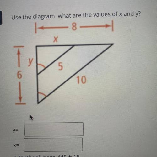 Can you help me find the value of x and y?