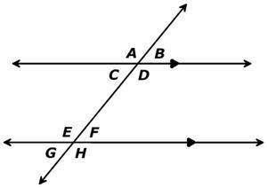 The figure shows two parallel lines cut by a transversal. Which angle pairs are alternate exterior