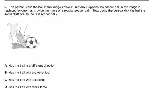 The person kicks the ball in the image below 20 meters. Suppose the soccer ball in the image is rep