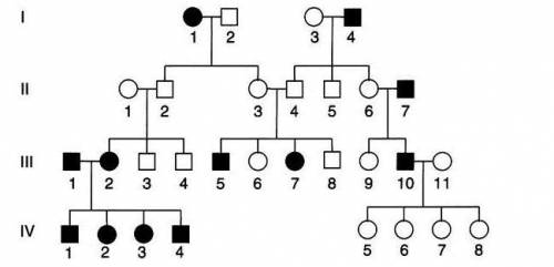 The pedigree below shows the passing of polydactyly (P) through a family. What is the phenotype of