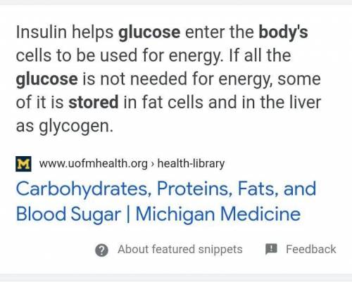 Where is glucose stored in the body.​