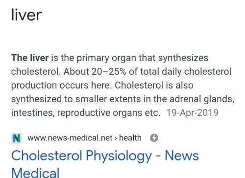 What organ synthesizes the largest quantity of cholesterol?

liver
kidneys
pancreas
gallbladder