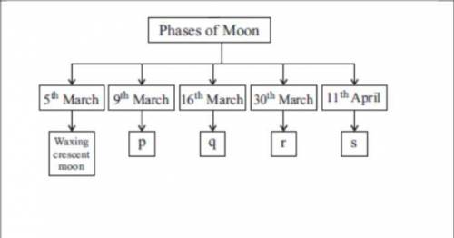 What would be the phases p, q, r and s be? Give justification with the illustration of phases of mo