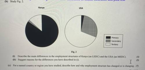 Describe the main differences in the employment structures of Kenya (an LEDC) and the USA (an MEDC