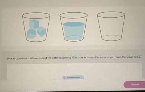 What do you think is different about the water in each cup? Describe as many differences as you can