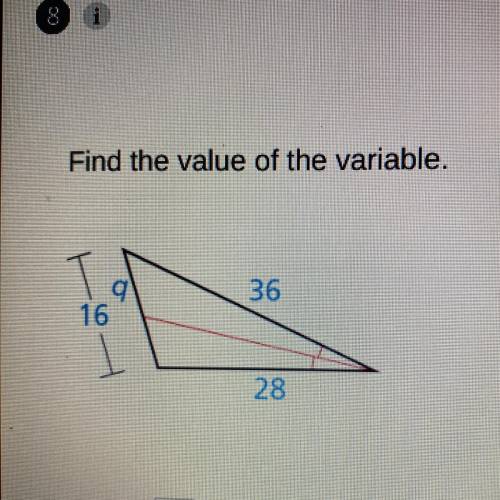 PLEASE HELP!!! Find the value of the variable.
