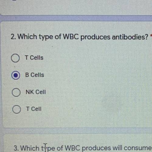 2. Which type of WBC produces antibodies? *