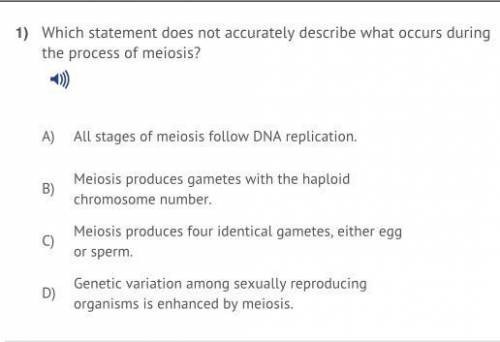 Which statement does not accurately describe what occurs during the process or meiosis?