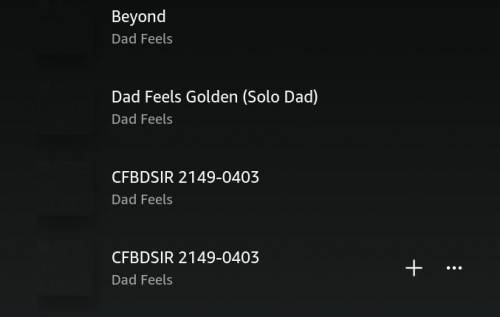 Amazon Music (Glitch?)

So I noticed while listening to the Dad Feels soundtrack, it showed the sa
