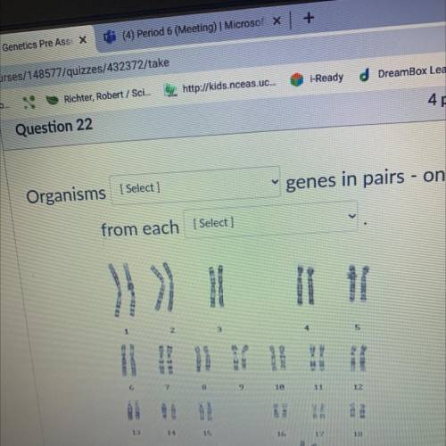 Question 22
V
[ Select ]
Organisms
genes in pairs - one
from each (Select]