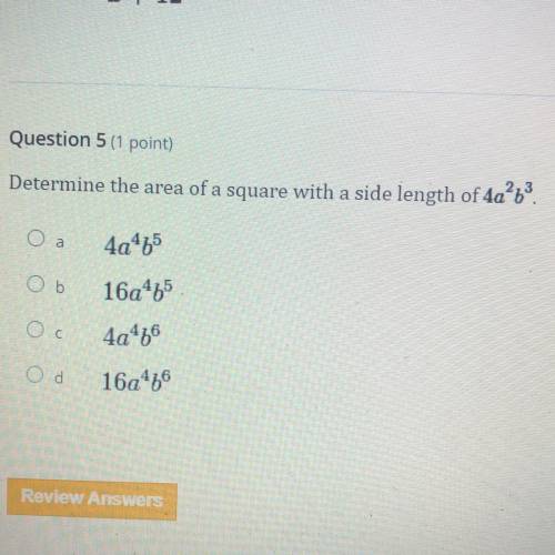 Determine the area of a square with a side length of 4a2b3