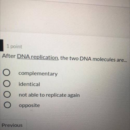 After DNA replication, the two DNA molecules are...

О complementary
О identical
О not able to rep