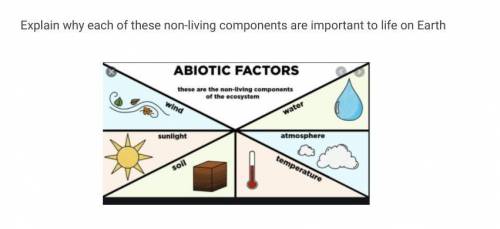 Explain why each of these non-living components are important to life on Earth