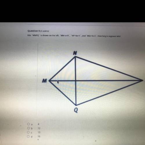 Help I need to find out how long the segment is!