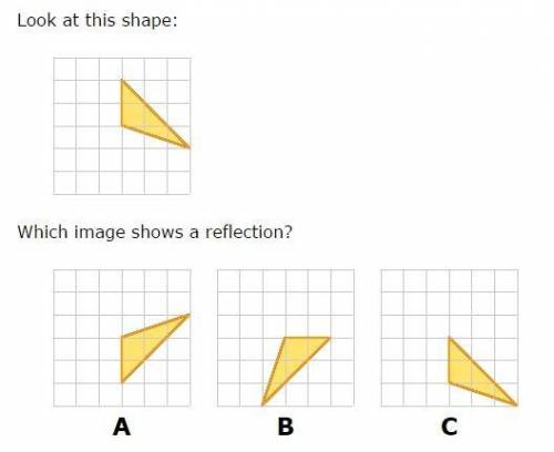 Which image shows a reflection ?