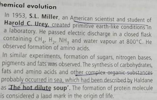 How does the Miller Urey experiment