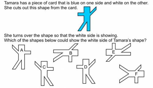 Tamara has a piece of card that is blue on one side and white on the other.She cuts out the shape f